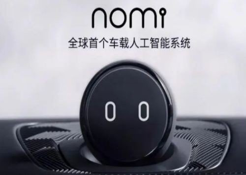 nomi是什么意思啊