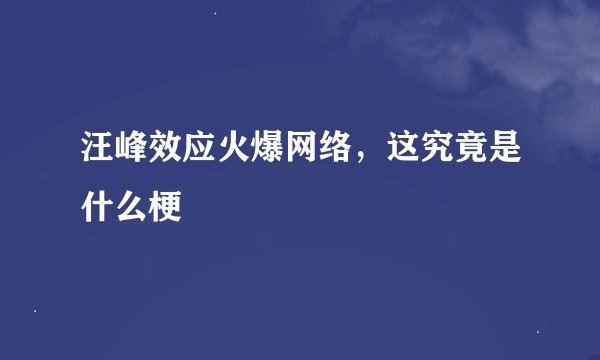 汪峰效应火爆网络，这究竟是什么梗