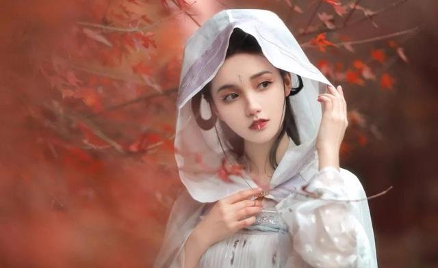 韶晴岚濯锟穿越小说叫什么名字