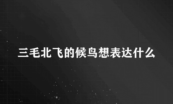 三毛北飞的候鸟想表达什么