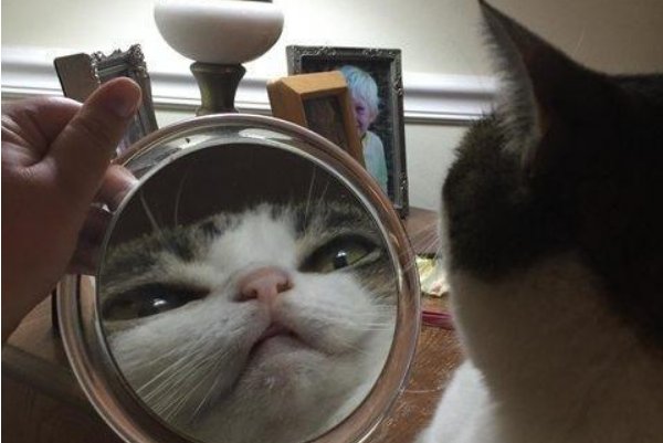 看着镜子里我们怎么结合的的答案是什么？