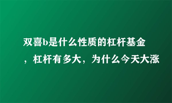 双喜b是什么性质的杠杆基金，杠杆有多大，为什么今天大涨