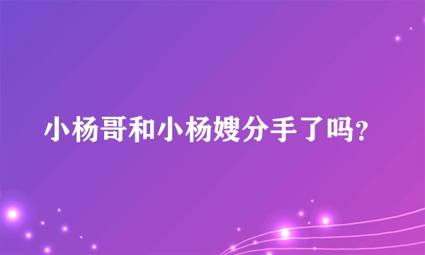 小杨哥和小杨嫂分手了吗？