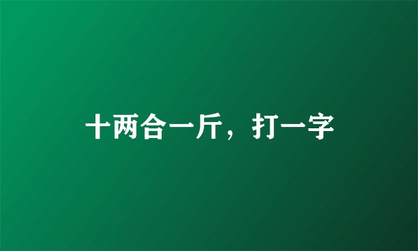 十两合一斤，打一字