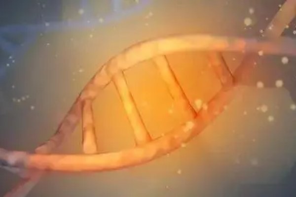 核酸分子杂交名词解释