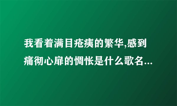 我看着满目疮痍的繁华,感到痛彻心扉的惆怅是什么歌名 mp3