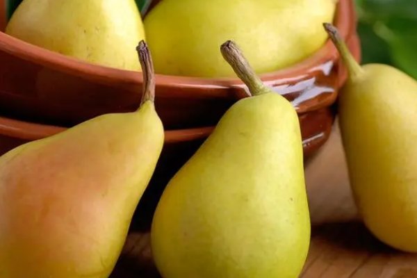 让枣推梨文言文解释