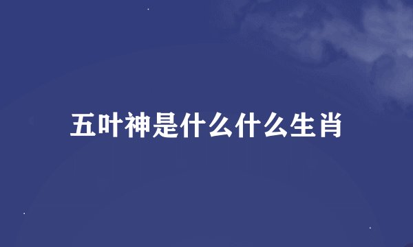 五叶神是什么什么生肖
