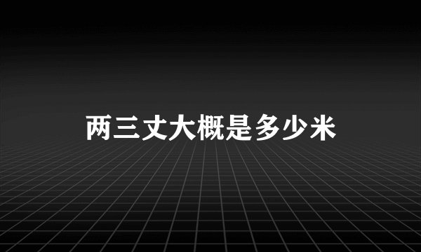 两三丈大概是多少米