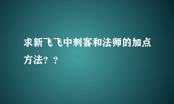 求新飞飞中刺客和法师的加点方法？？