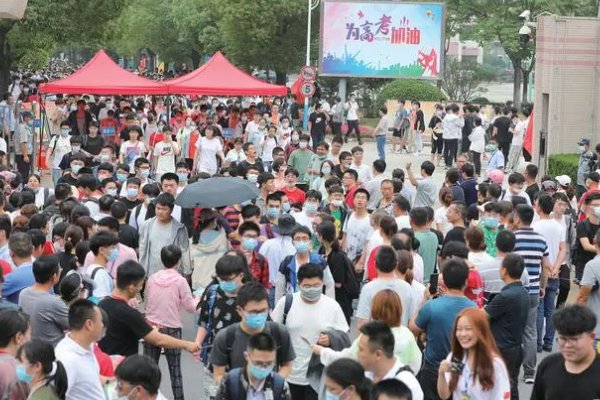 高考志愿档案状态什么时候可以查询