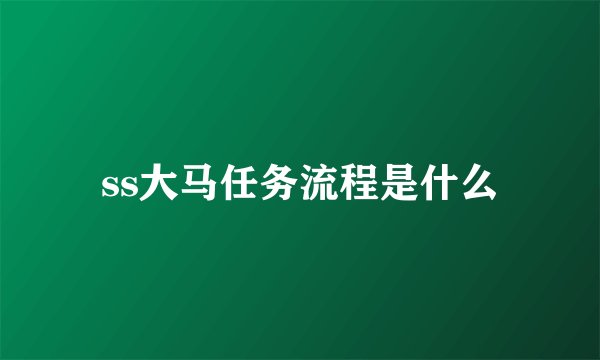 ss大马任务流程是什么