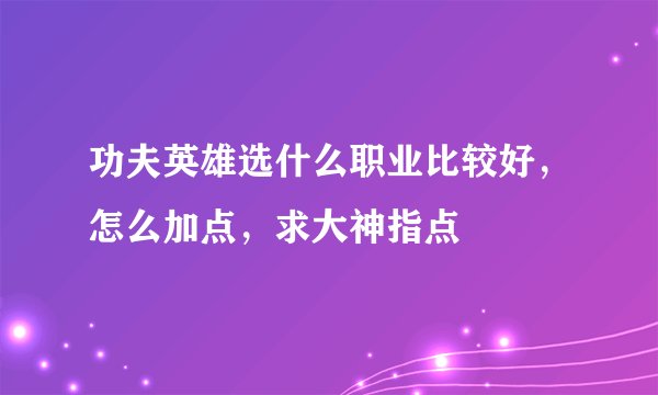 功夫英雄选什么职业比较好，怎么加点，求大神指点