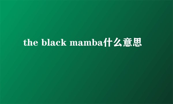 the black mamba什么意思