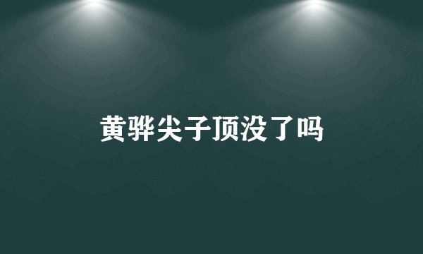 黄骅尖子顶没了吗