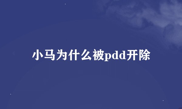 小马为什么被pdd开除