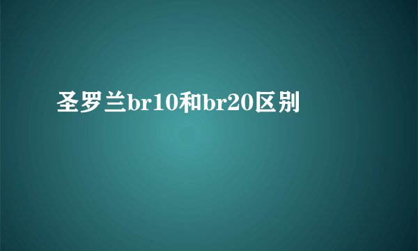 圣罗兰br10和br20区别