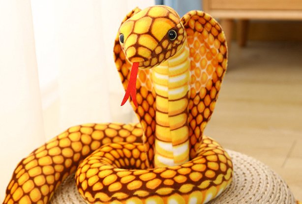 非洲十大毒蛇