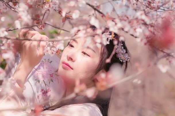 芳龄是什么意思啊