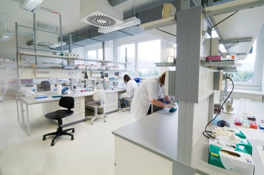 4分25秒实验室视频实际多长？