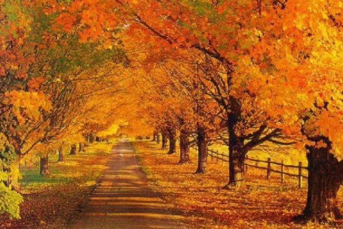 秋的声音仿写句子三年级