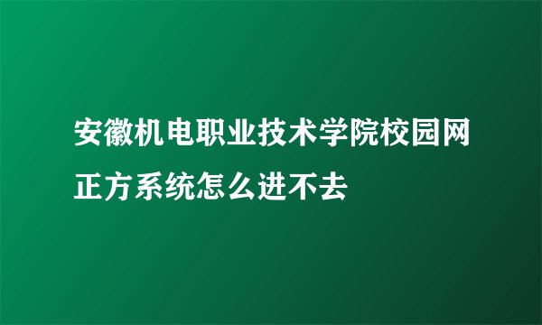 安徽机电职业技术学院校园网正方系统怎么进不去