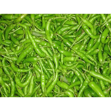 兆山羡鬼的介绍