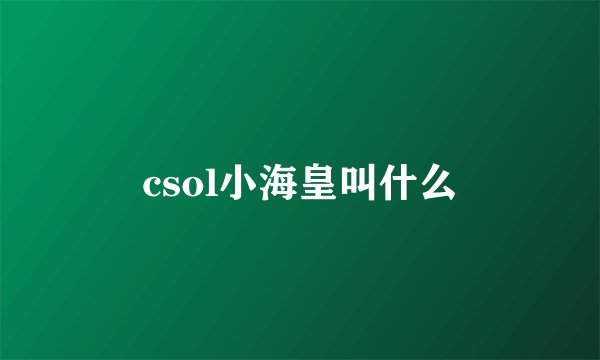csol小海皇叫什么