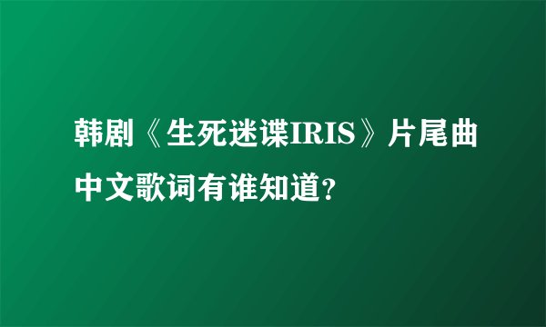 韩剧《生死迷谍IRIS》片尾曲中文歌词有谁知道？