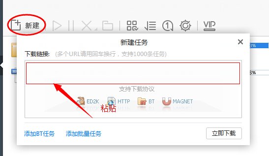 中国合伙人高清迅雷下载