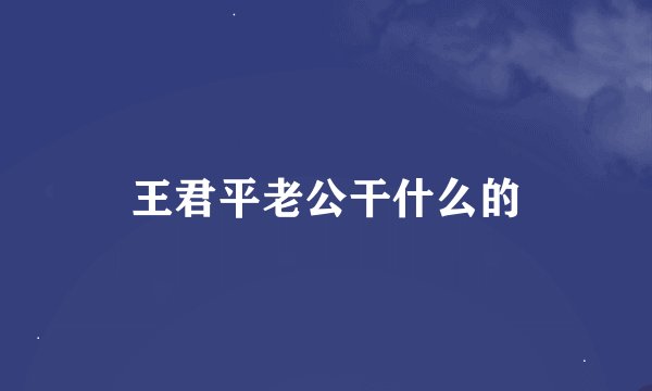 王君平老公干什么的