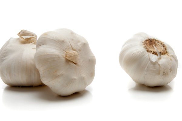 强根是什么意思