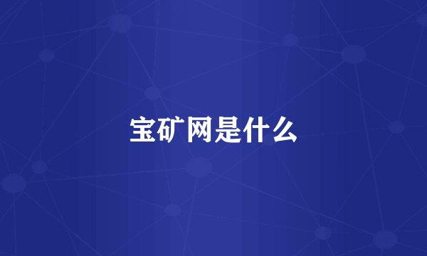 宝矿网是什么