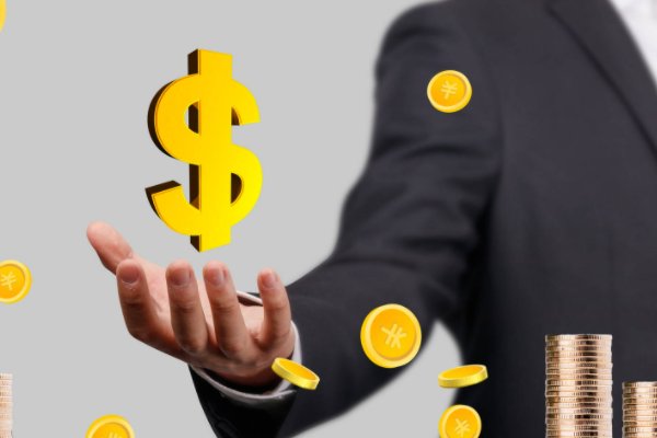 白金翰是什么意思