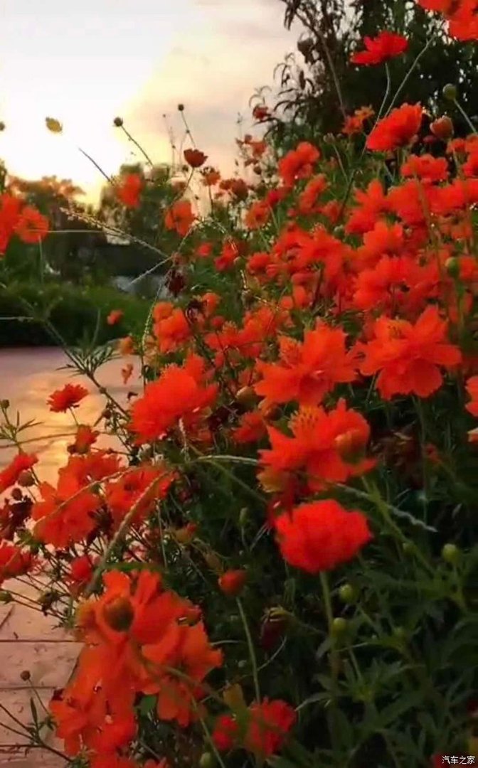 春暖花开、奔你而来、和睿骋CC有个约会！