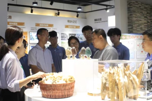 贤才君子是什么意思啊