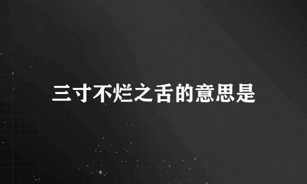 三寸不烂之舌的意思是