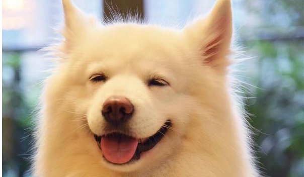 笑眯眯地什么，怎么填上合适的词?