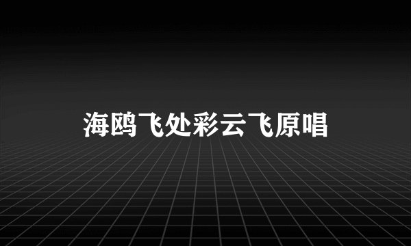 海鸥飞处彩云飞原唱
