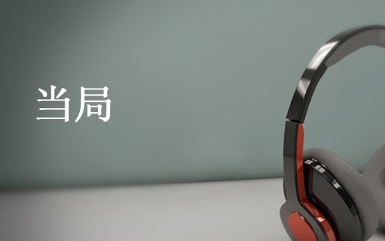 当局是什么意思