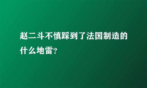 赵二斗不慎踩到了法国制造的什么地雷？