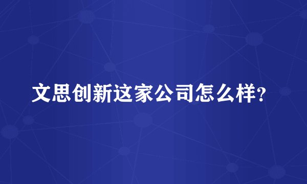 文思创新这家公司怎么样？