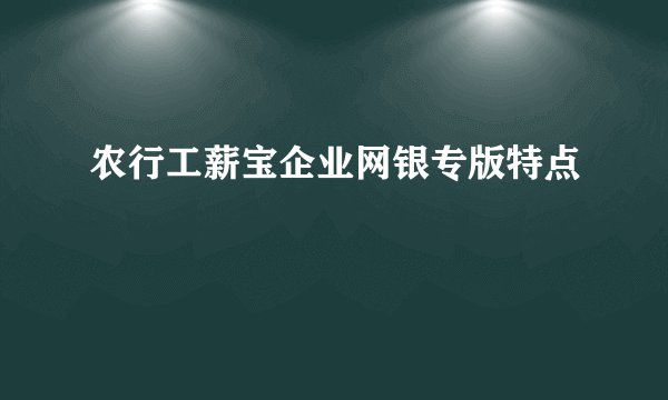 农行工薪宝企业网银专版特点