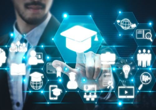 molle是什么意思