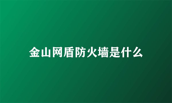 金山网盾防火墙是什么
