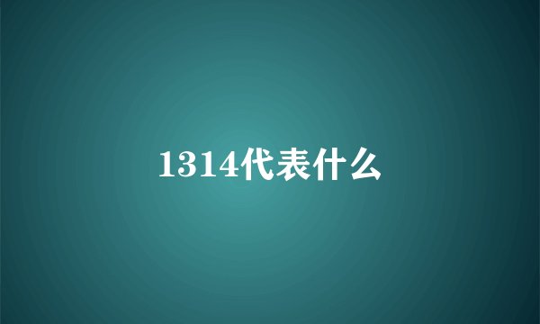 1314代表什么