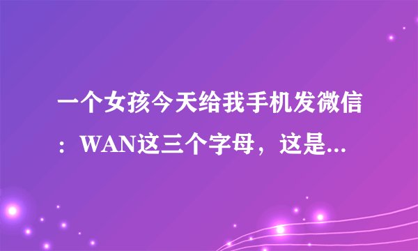 一个女孩今天给我手机发微信：WAN这三个字母，这是什么意思？