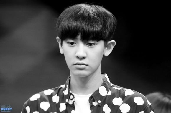 跪求2014一期快乐大本营exo----灿烈 图片【多发几张】