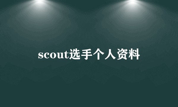 scout选手个人资料
