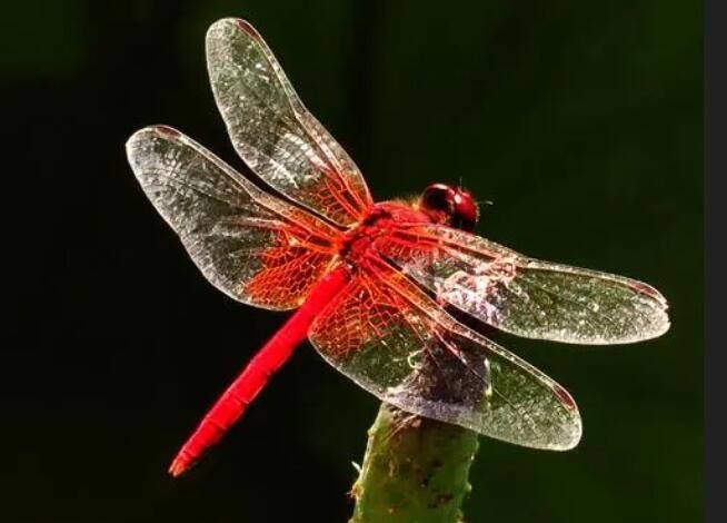 123数字的含意是什么?